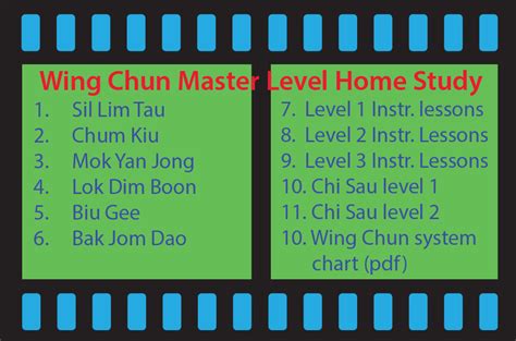 Wing Chun Home Study Videos