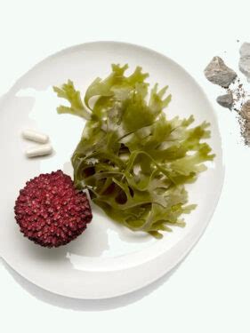 The 5 Best Calcium Supplements For Women - The Good Trade