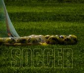 Soccer Poster DIY Free Stock Photo - Public Domain Pictures