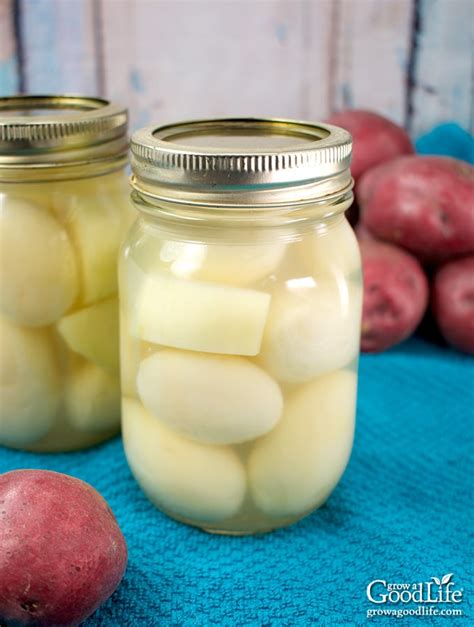 Canning Potatoes: How to Pressure Can Potatoes for Food Storage