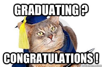 graduating ? congratulations ! - graduation cat - quickmeme