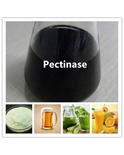 High Quality Pectinase Enzyme Liquid/Powder for Brewery, Juice, etc. Co ...