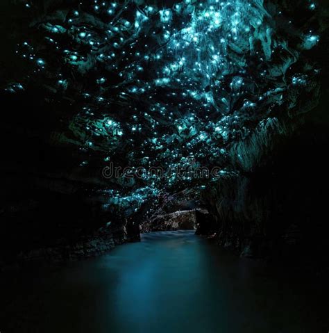 Waitomo Glowworm Caves, Waikato, New Zealand North Island. Stock Image ...