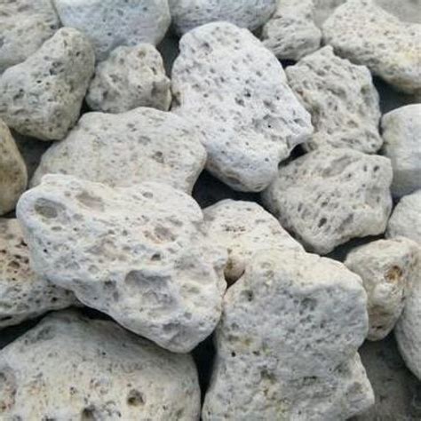 Buy Pumice Stone - 1KG online at cheap price on plantsguru.com