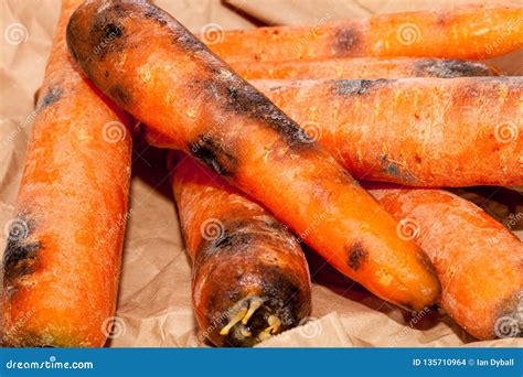 Rotten Carrots. Spoiled Moldy Vegetable Waste. Wasted Food in Close-up Stock Photo - Image of ...