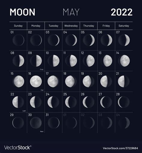 May moon phases calendar on dark night sky Vector Image