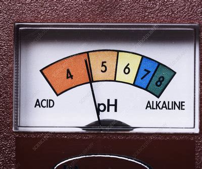 Acid soil - Stock Image - E770/1157 - Science Photo Library