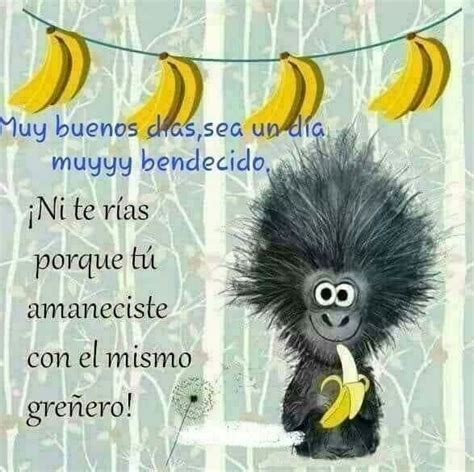 Buenos días monitos | Sé bueno, Buenos dias familia chistoso, Buenos dias