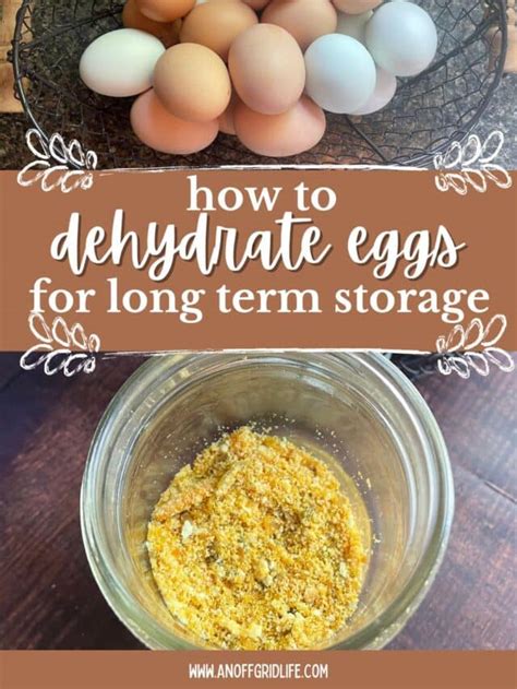 How to Dehydrate Eggs at Home - An Off Grid Life