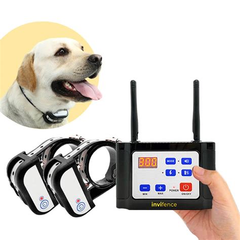 2022 Best 5 Wireless Dog Fence Reviews in USA - EXPERT BEST PICK