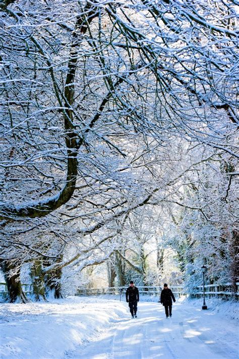 Castle grounds - take a walk in a winter wonderland... Cliff House ...