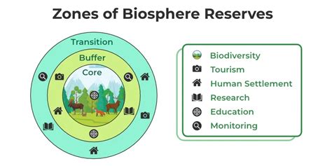 Biosphere Reserve - Zones and Their Importance - GeeksforGeeks