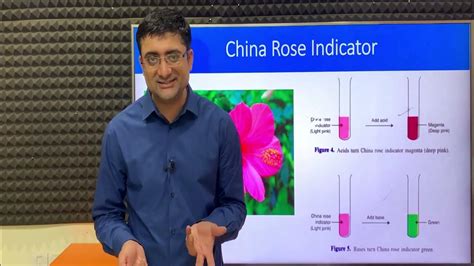 Class 10 | Science | Chemistry Acids Bases And Salts | China Rose ...