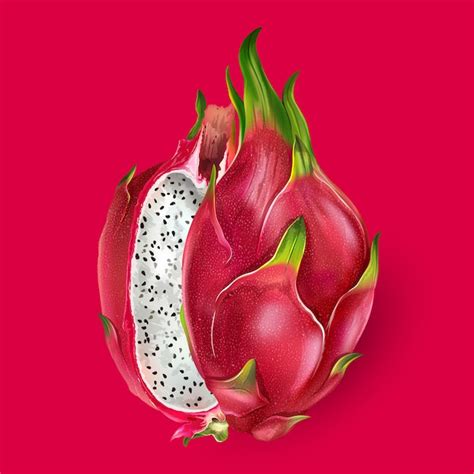 Premium Vector | Dragon fruit illustration