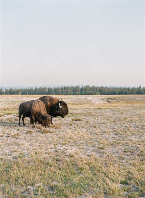 Amangani Wedding Venue in Jackson Hole Wyoming - 30A, Seaside, Rosemary Beach, Florida ...