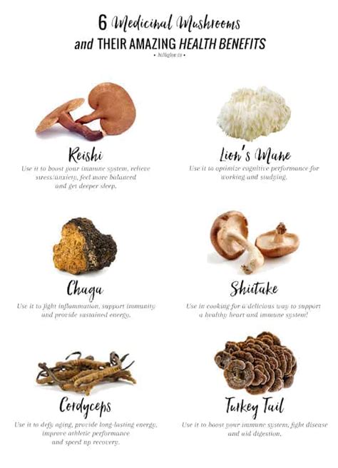 A Holistic Nutritionist Explains: 6 Adaptogenic Mushrooms + Their Amazing Health Benefits ...