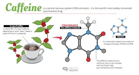 Caffeine: The science behind coffee - Mind the Graph Blog