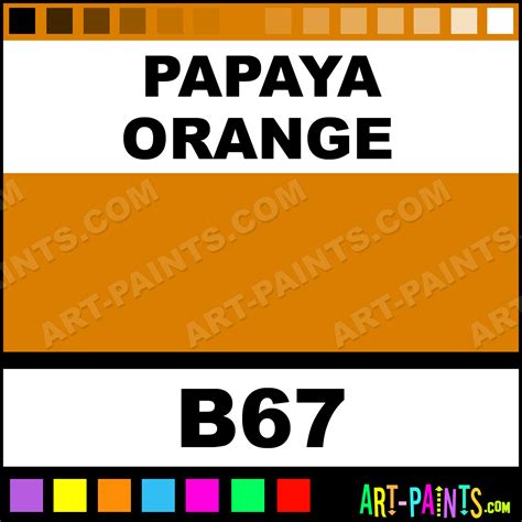 Papaya Orange Graffiti Spray Paints - Aerosol Decorative Paints - B67 - Papaya Orange Paint ...