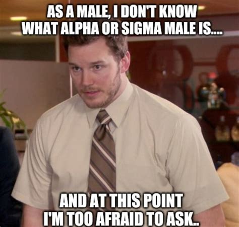 Common yet Viral Sigma Male Memes that You Need for all the Laughs - AMJ