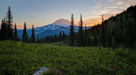 Mount Rainier Sunset Evening