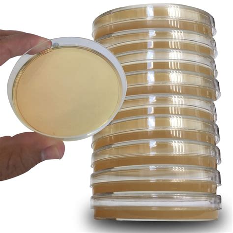 Potato Dextrose Agar Plates - Evviva Sciences - Prepoured Potato ...