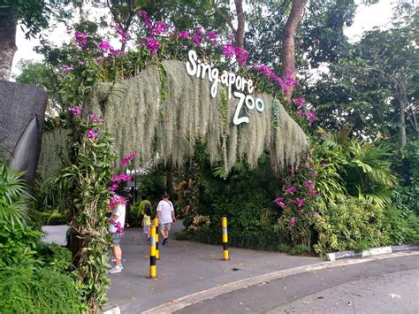 Singapore Zoo - Ticket Price, Entrance Fee, Opening Hours & Map