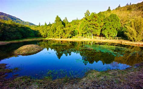 Yangmingshan National Park and Hot-Spring Half-Day Tour from Taipei | Headout