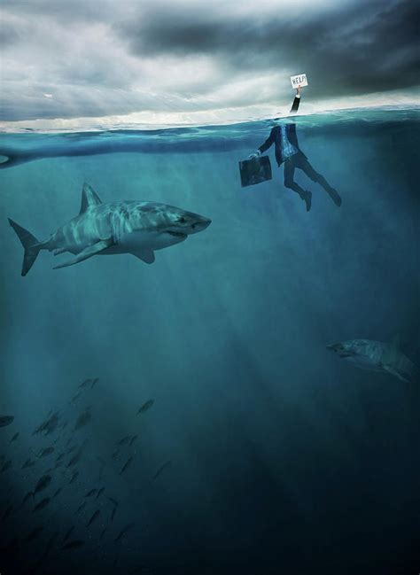 Man Drowning In Sea With A Shark Photograph by Robert Benson - Pixels