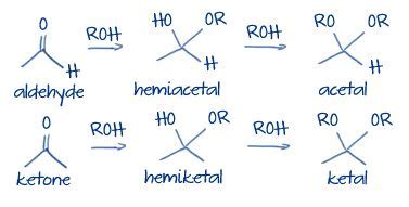 ketal vs hemiketal - Google Search | Chimica