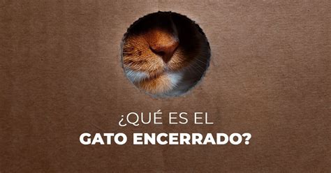 Origen y significado de la expresión “gato encerrado”