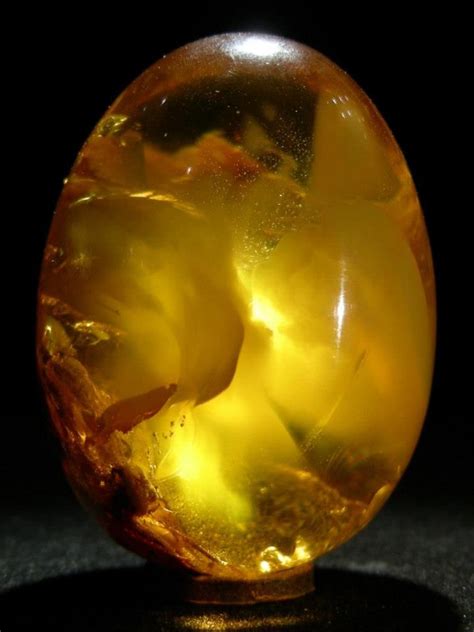 Healing Properties of Amber from Charms Of Light - Healing | Minerals ...