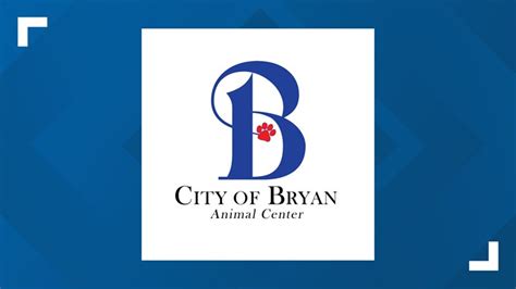 Free microchip and rabies vaccine event coming to Tiffany Park | kagstv.com