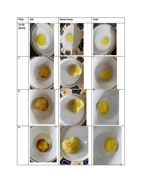 Potato Experiment | PDF