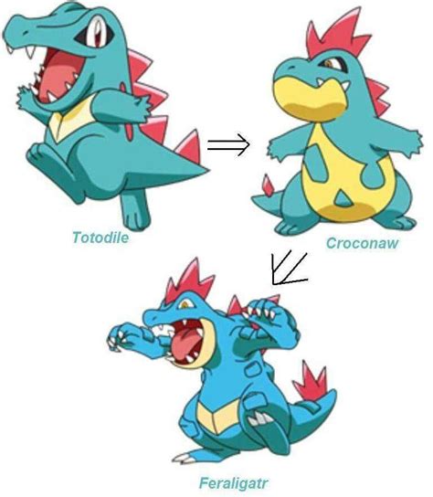 Totodile Evolution | Evolução pokemon, Pokemon, Imagens de pokemon