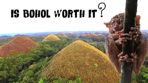 BOHOL PHILIPPINES - Chocolate Hills + Tarsiers (Worth it?) - YouTube