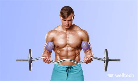 9 Short Head Bicep Exercises for Massive Arms - Welltech