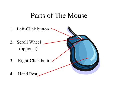 Label The Parts Of The Mouse