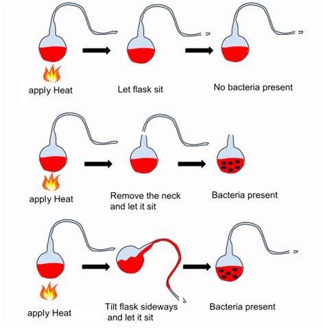 Pasteur experiment