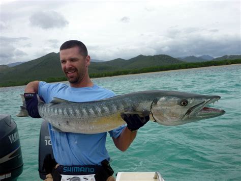 How to Catch Great Barracuda - Tips for Fishing for Barracuda | Fish ...