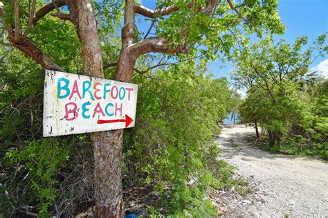 Dead dog found dumped in bag on Barefoot Beach - Cayman Compass