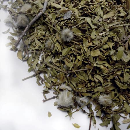 Chaparral Herb, c/s wild crafted | Little Woods Herbal: Tea Blends and ...