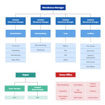 career path Templates - Editable Online | EdrawMax