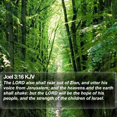 Joel 3 Scripture Images - Joel Chapter 3 KJV Bible Verse Pictures