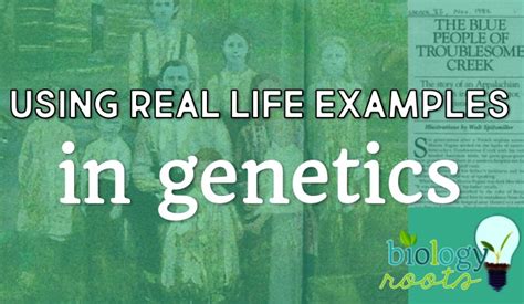 Biology Class- Using Real Life Examples in Genetics - Biology Roots