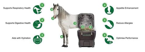 Environmental Benefits of Using A Hay Steamer for Horses - Planet Organics