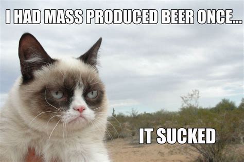 cat, Meme, Quote, Funny, Humor, Grumpy, Beer Wallpapers HD / Desktop and Mobile Backgrounds