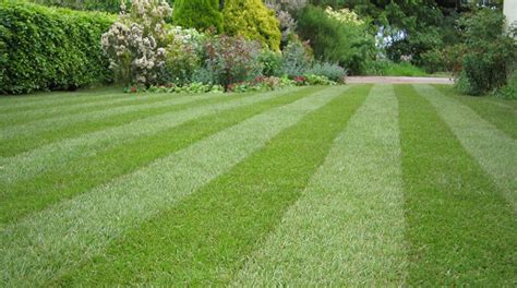 How to Create a Spectacularly Striped Lawn or Grass Pattern + Examples