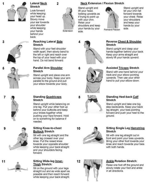 Isometric exercises for older adults - berlindafare