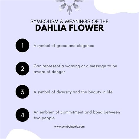 Dahlia Flower: Symbolism, Meanings, and History - Symbol Genie