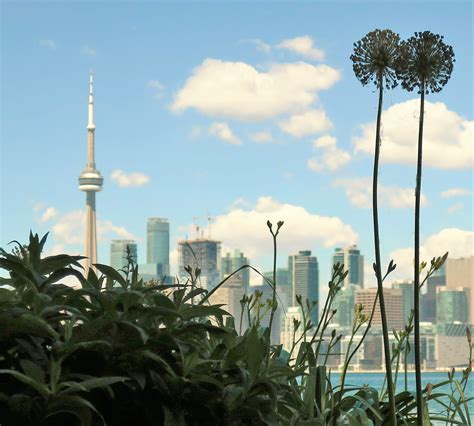 Living Rootless: Toronto: From the Other Side